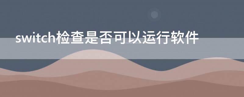 switch检查是否可以运行软件