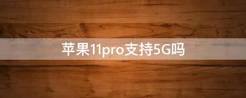 iPhone11pro支持5G吗（苹果11pro支持5g网络吗?）