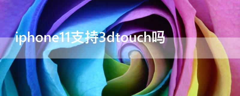 iPhone11支持3dtouch吗 苹果11支不支持3d