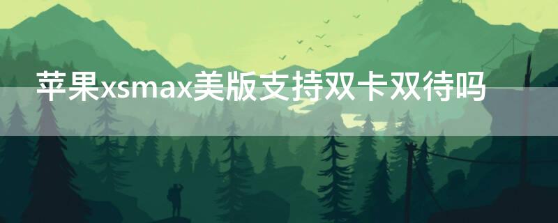 iPhonexsmax美版支持双卡双待吗 苹果xs max美版支持双卡双待吗