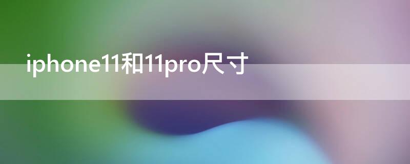 iPhone11和11pro尺寸（苹果11和11pro尺寸大小）