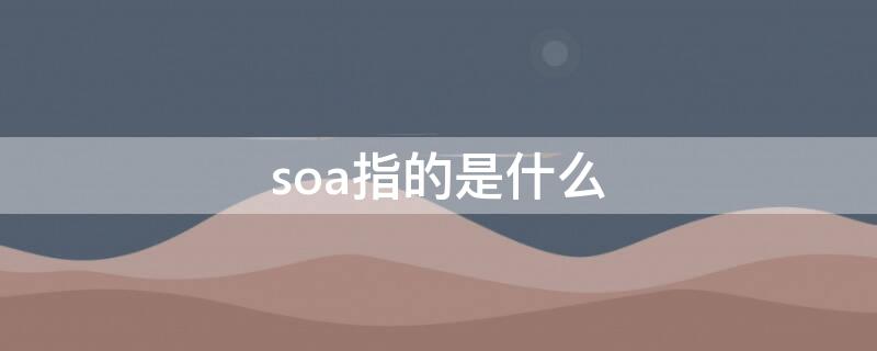 soa指的是什么（soa是什么项目）