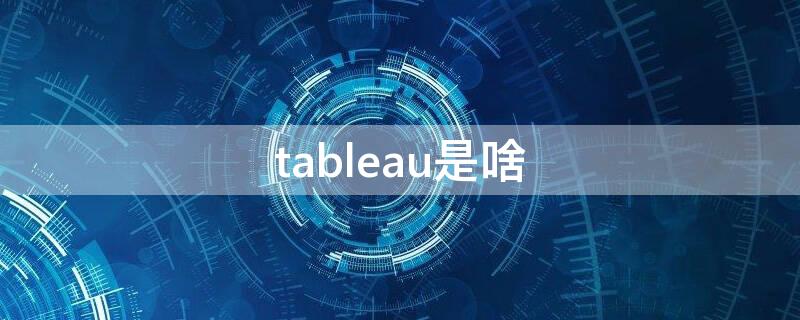 tableau是啥（tableau software）