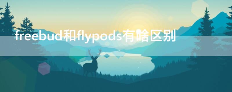 freebud和flypods有啥区别（flypods和freebuds2有什么不一样）