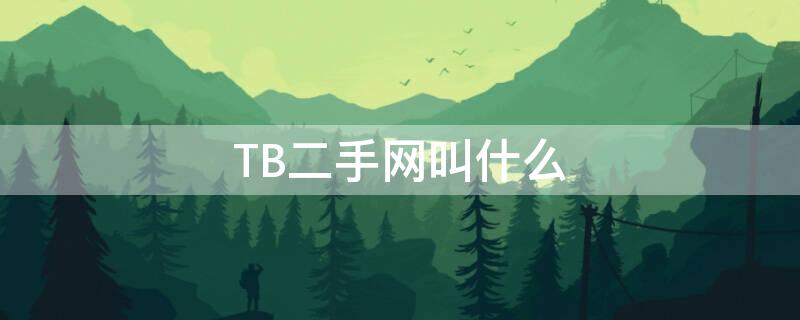 TB二手网叫什么（二手淘宝网站）