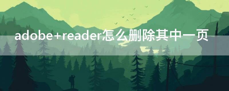 adobe reader怎么删除其中一页