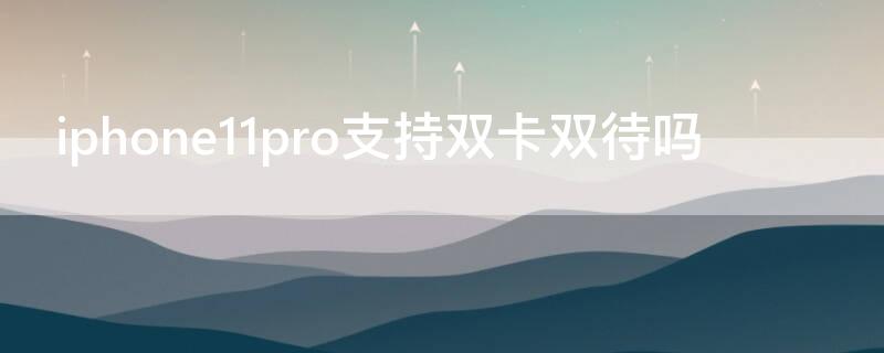 iPhone11pro支持双卡双待吗（苹果11pro支持双卡双待吗?）