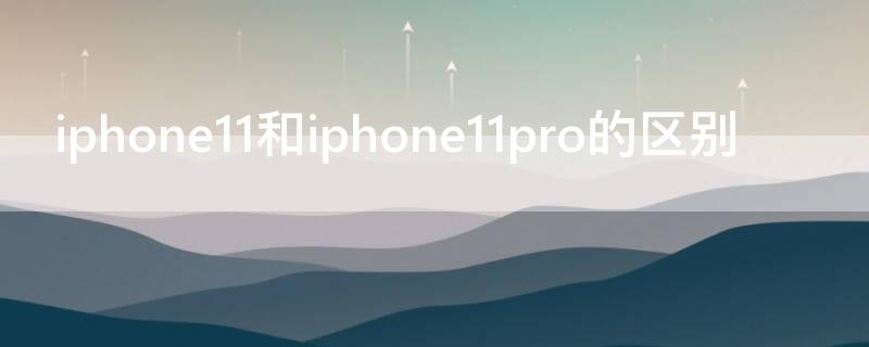 iPhone11和iPhone11pro的区别（iphone11和iphone11pro的区别知乎）