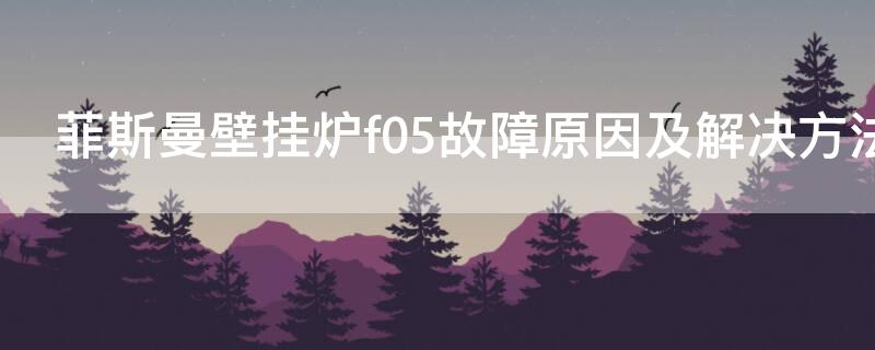 菲斯曼壁挂炉f05故障原因及解决方法 菲斯曼壁挂炉显示f05手把手教你解决