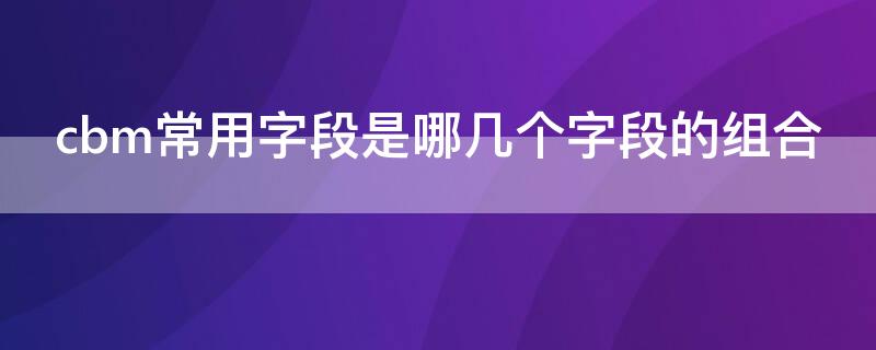 cbm常用字段是哪几个字段的组合 cbm中常用字段和核心字段