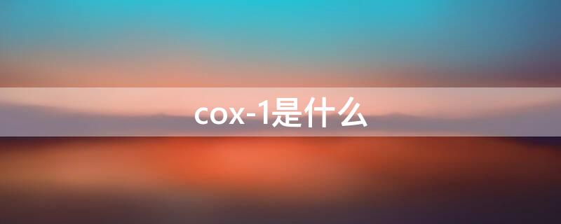 cox-1是什么（cox-1是什么意思）