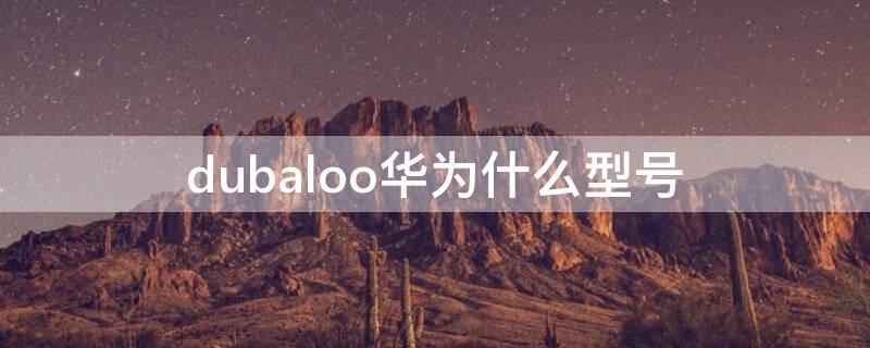 dubaloo华为什么型号 duaaloo华为什么型号