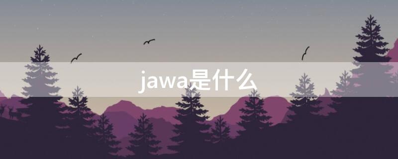 jawa是什么（jawa是什么东西）