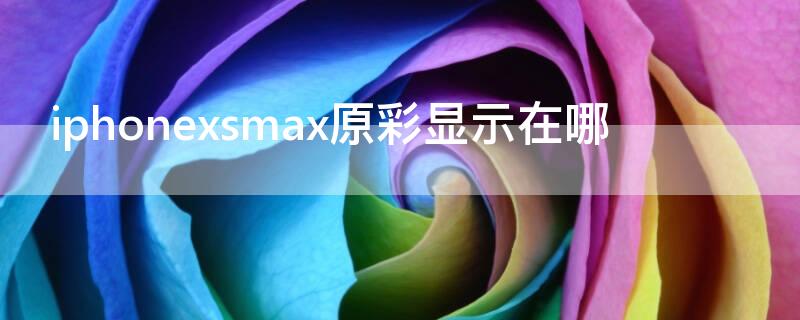 iPhonexsmax原彩显示在哪（苹果xsmax原彩显示在哪里）