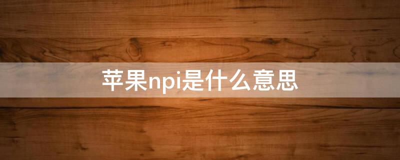 iPhonenpi是什么意思（iphoneppi什么意思）