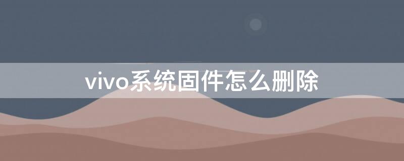 vivo系统固件怎么删除 vivo手机系统固件怎么删除