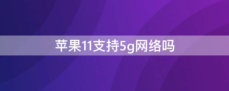 iPhone11支持5g网络吗 iphone13开启5g