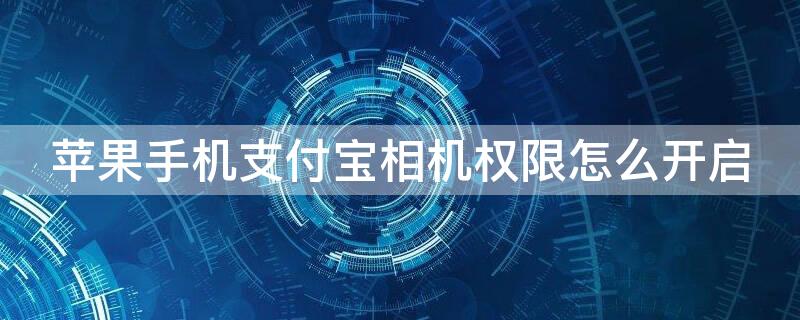 iPhone手机支付宝相机权限怎么开启 iphone支付宝开启相机权限在哪里