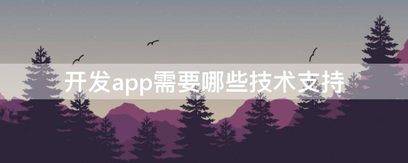 开发app需要哪些技术支持（开发app需要什么设备）