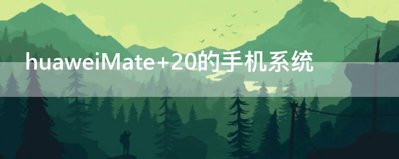 huaweiMate 华为matepad平板2023款