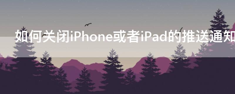 如何关闭iPhone或者iPad 怎样关闭ping