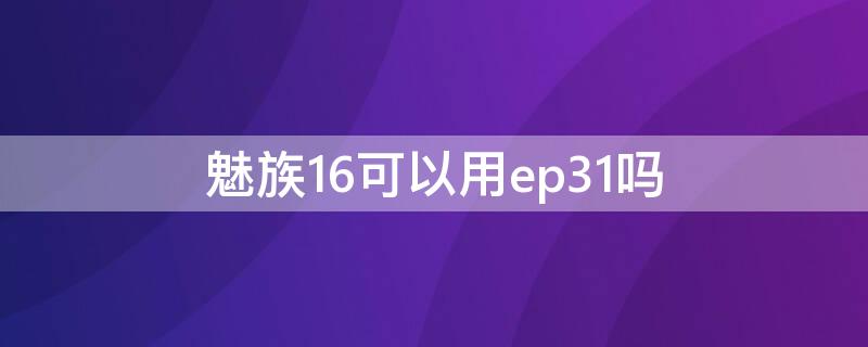 魅族16可以用ep31吗（魅族16支持pd吗）