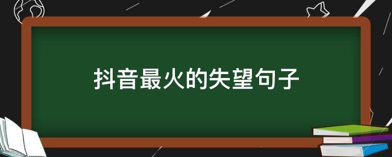 抖音最火的失望句子