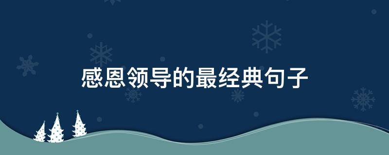 感恩领导的最经典句子