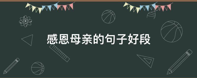 感恩母亲的句子好段 感恩母亲的句子好段100字