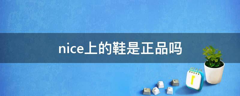 nice上的鞋是正品吗 nice上的鞋怎么样