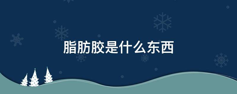 脂肪胶是什么东西 脂肪胶是什么东西图片