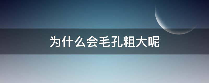 为什么会毛孔粗大呢（为什么会毛孔粗大呢女生）