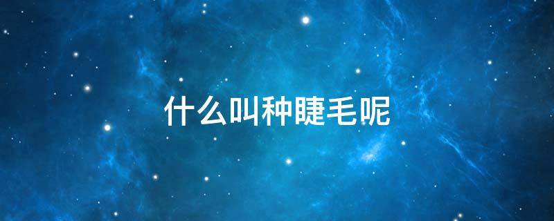 什么叫种睫毛呢 什么是种睫毛大约多少钱?