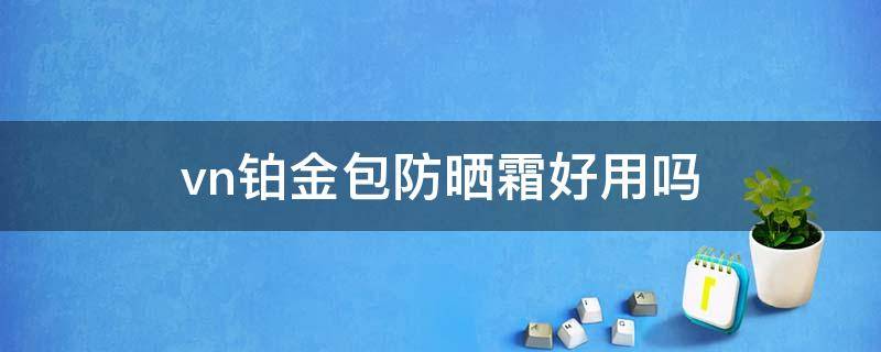 vn铂金包防晒霜好用吗 韩国vn铂金包防晒霜和安耐晒哪个好