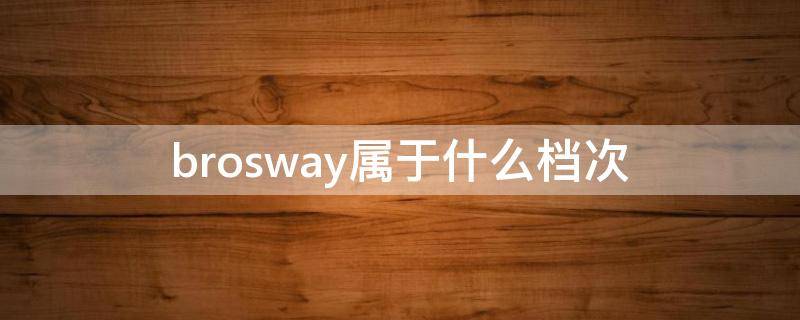 brosway属于什么档次（brosway是什么档次）