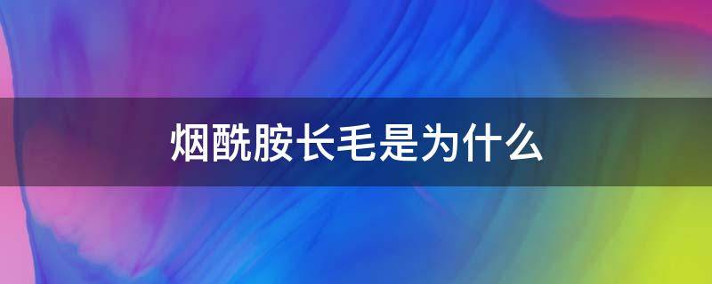 烟酰胺长毛是为什么（烟酰胺长毛的原因）