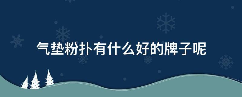 气垫粉扑有什么好的牌子呢（气垫粉扑是干什么用的）