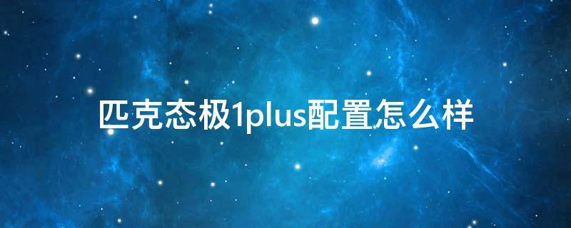 匹克态极1plus配置怎么样（匹克态极1.0plus怎么搭配衣服）