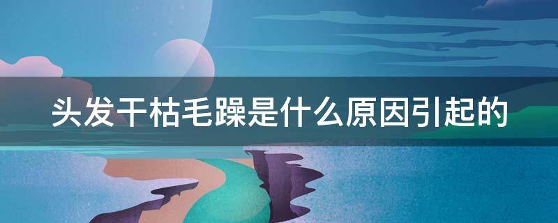 头发干枯毛躁是什么原因引起的 头发干枯毛躁是什么原因引起的?