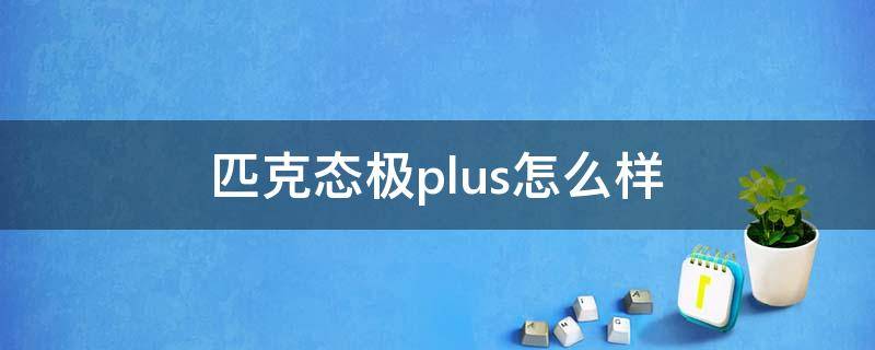 匹克态极plus怎么样（匹克态极1.0和plus哪个好）