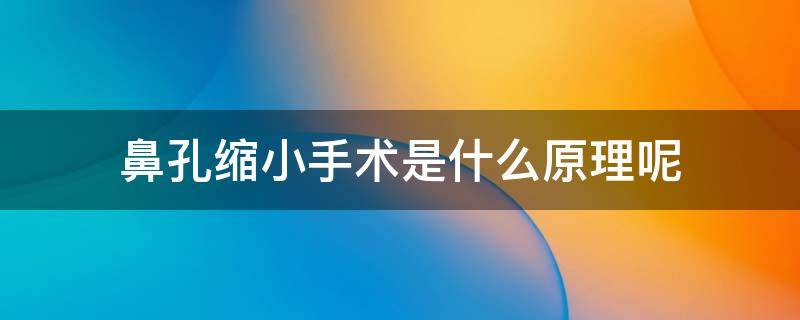 鼻孔缩小手术是什么原理呢（鼻孔缩小手术安全吗）