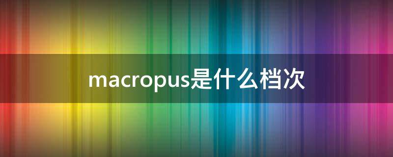 macropus是什么档次（macross是什么牌子）