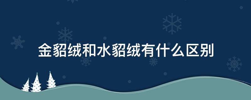 金貂绒和水貂绒有什么区别（金貂绒和水貂绒有什么区别图片）