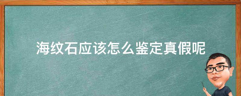 海纹石应该怎么鉴定真假呢 海纹石真假的鉴别方法