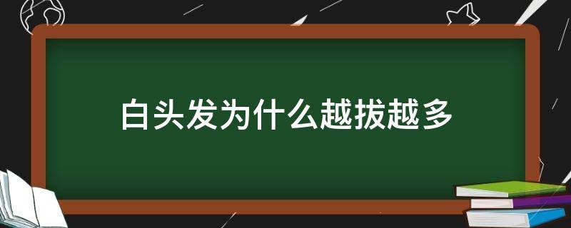 白头发为什么越拔越多 白头发为什么越拔越多?百度百科