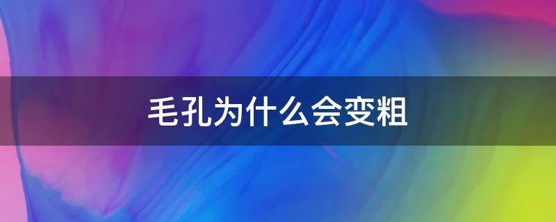 毛孔为什么会变粗（毛孔为什么会变粗变硬）