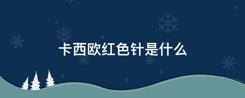 卡西欧红色针是什么 卡西欧红色指针是什么