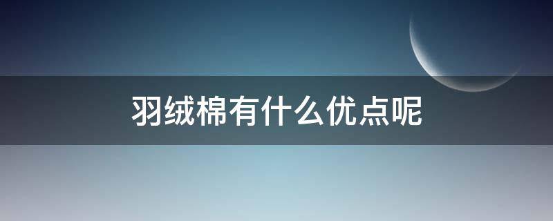 羽绒棉有什么优点呢（羽绒棉的卖点及好处）