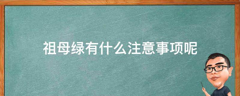 祖母绿有什么注意事项呢 祖母绿的佩戴与保养