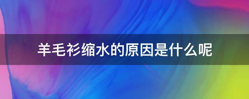 羊毛衫缩水的原因是什么呢 羊毛衫缩水的原因是什么呢怎么办